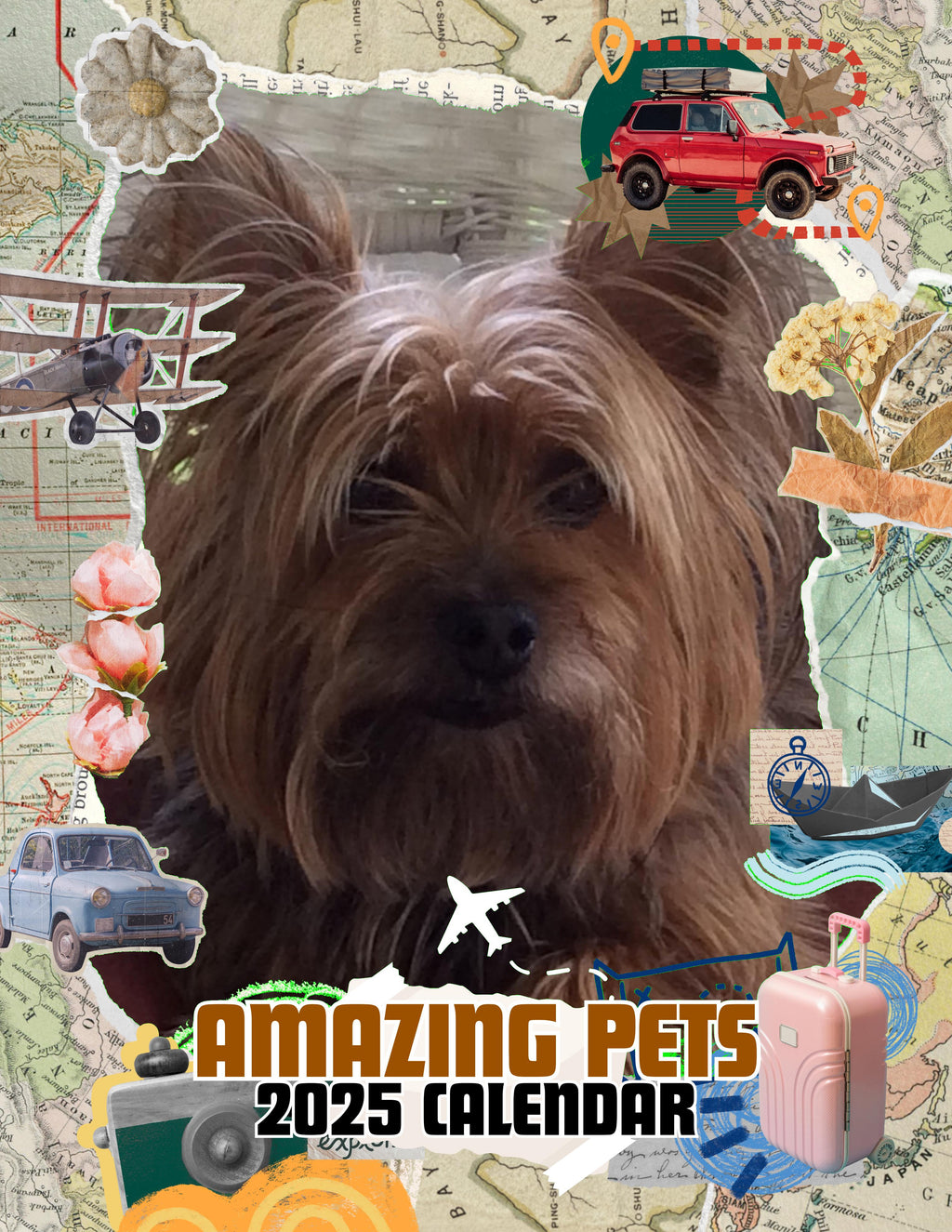 Amazing Pets: 2025 Wall Calendar (Pre-Order)