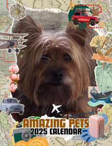 Amazing Pets: 2025 Wall Calendar (Pre-Order)