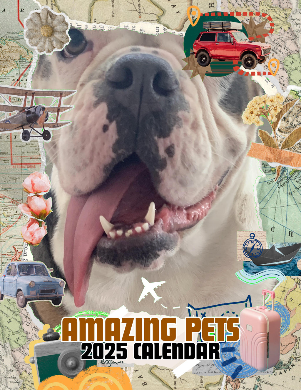 Amazing Pets: 2025 Wall Calendar (Pre-Order)