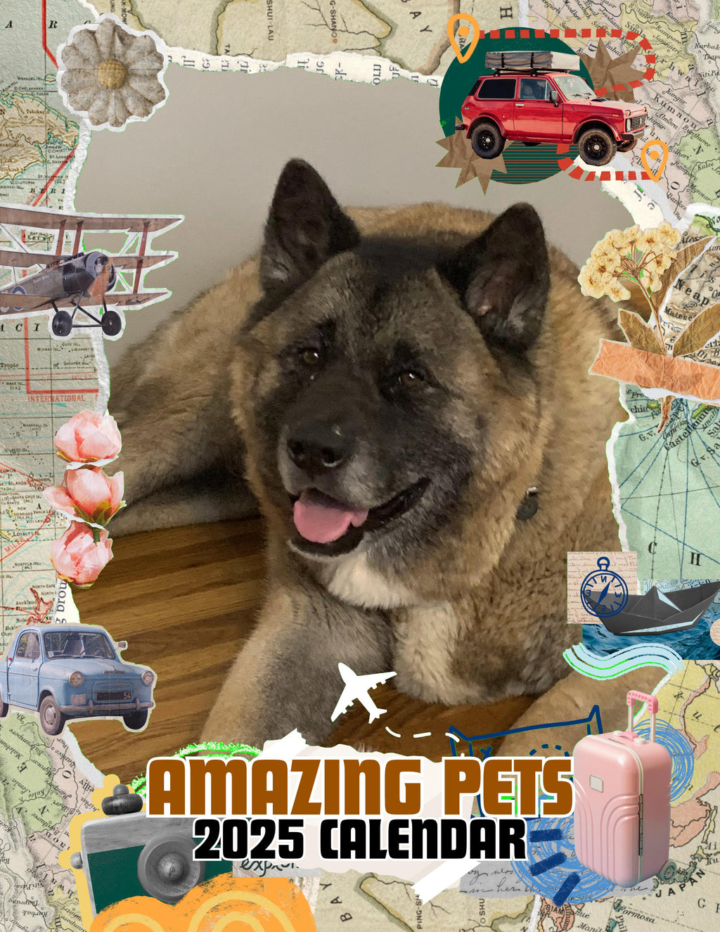 Amazing Pets: 2025 Wall Calendar (Pre-Order)