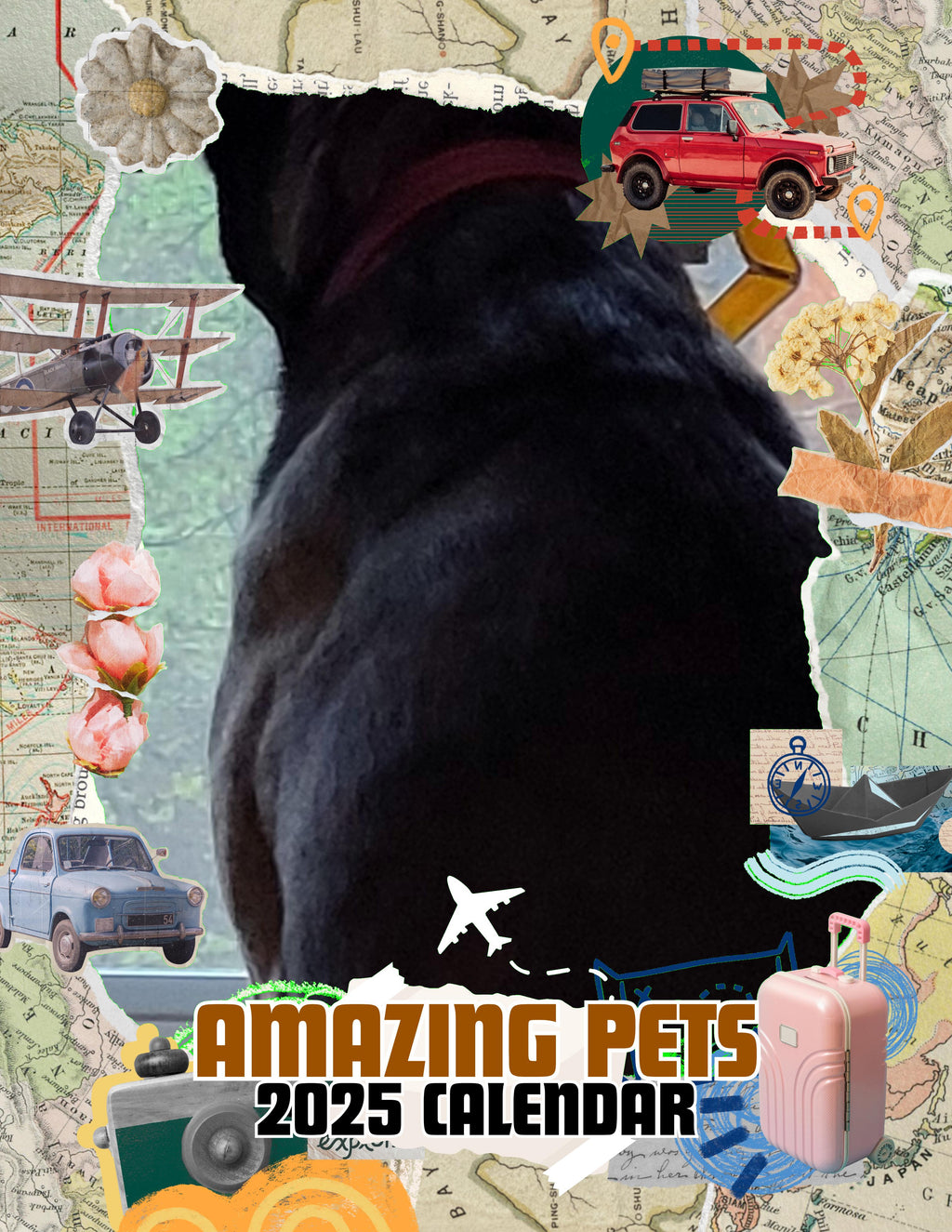 Amazing Pets: 2025 Wall Calendar (Pre-Order)