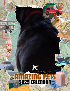 Amazing Pets: 2025 Wall Calendar (Pre-Order)