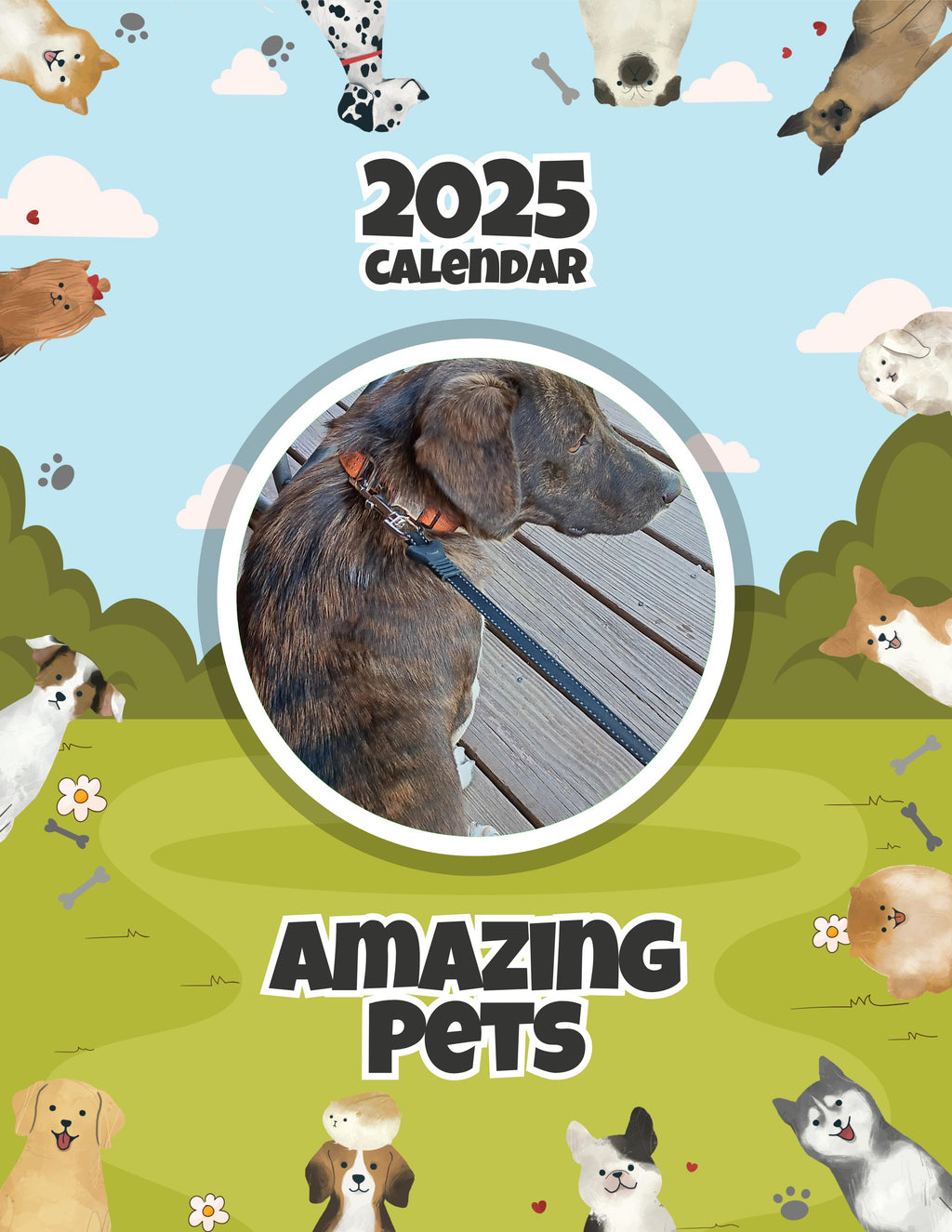 Amazing Pets: 2025 Wall Calendar (Pre-Order)