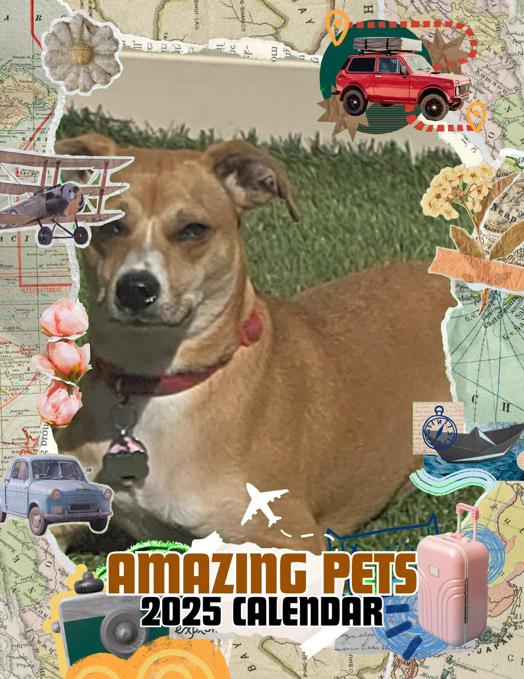 Amazing Pets: 2025 Wall Calendar (Pre-Order)