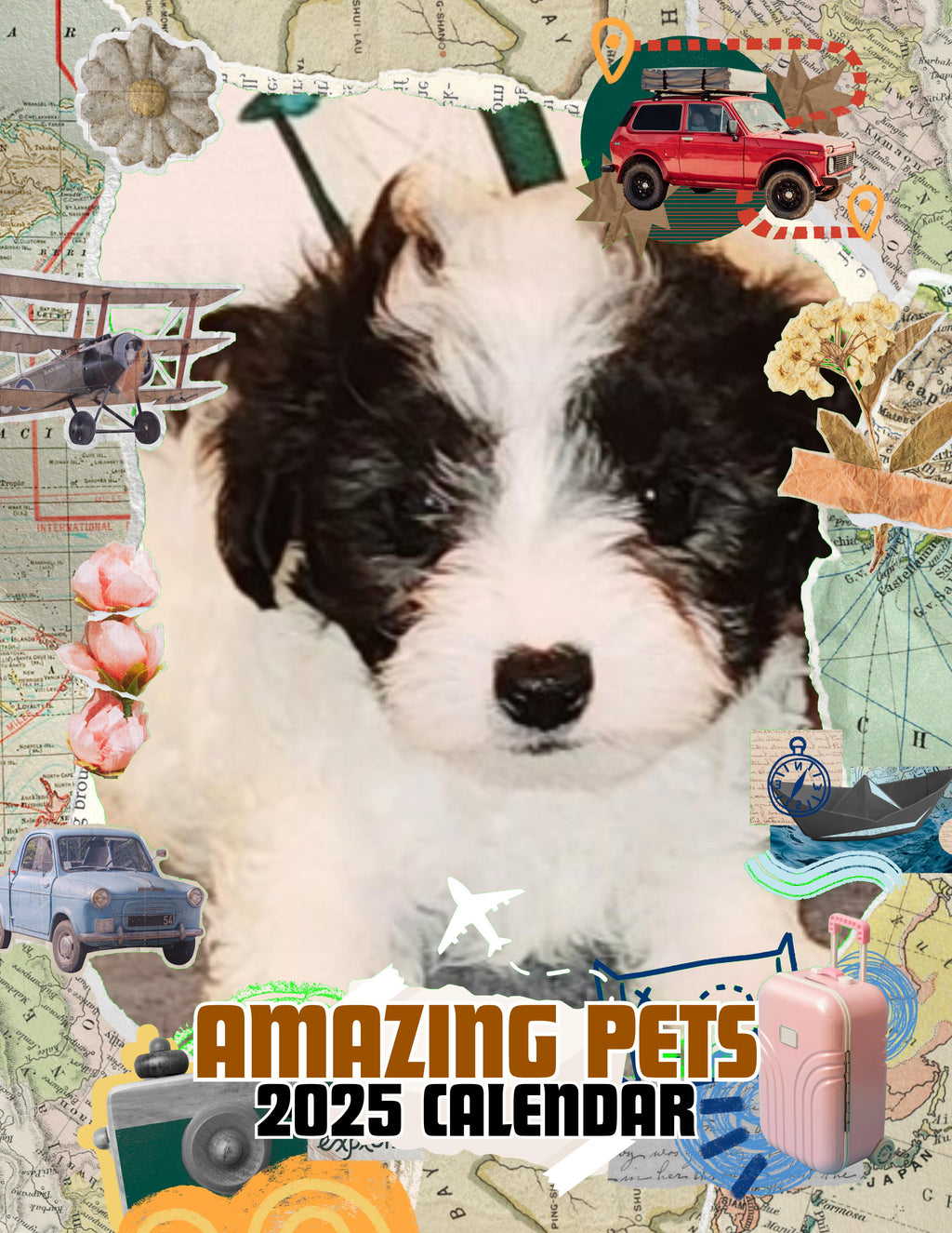 Amazing Pets: 2025 Wall Calendar (Pre-Order)
