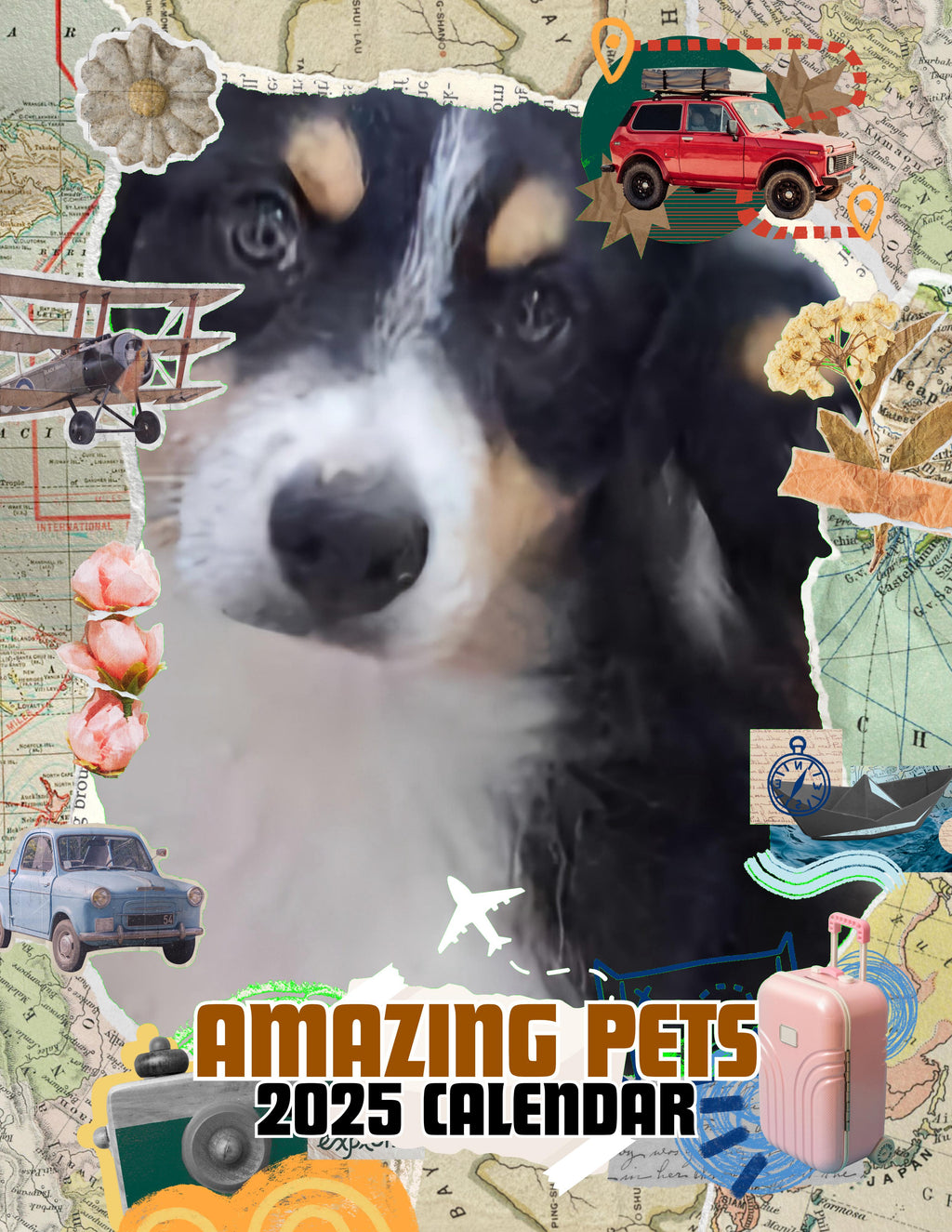 Amazing Pets: 2025 Wall Calendar (Pre-Order)
