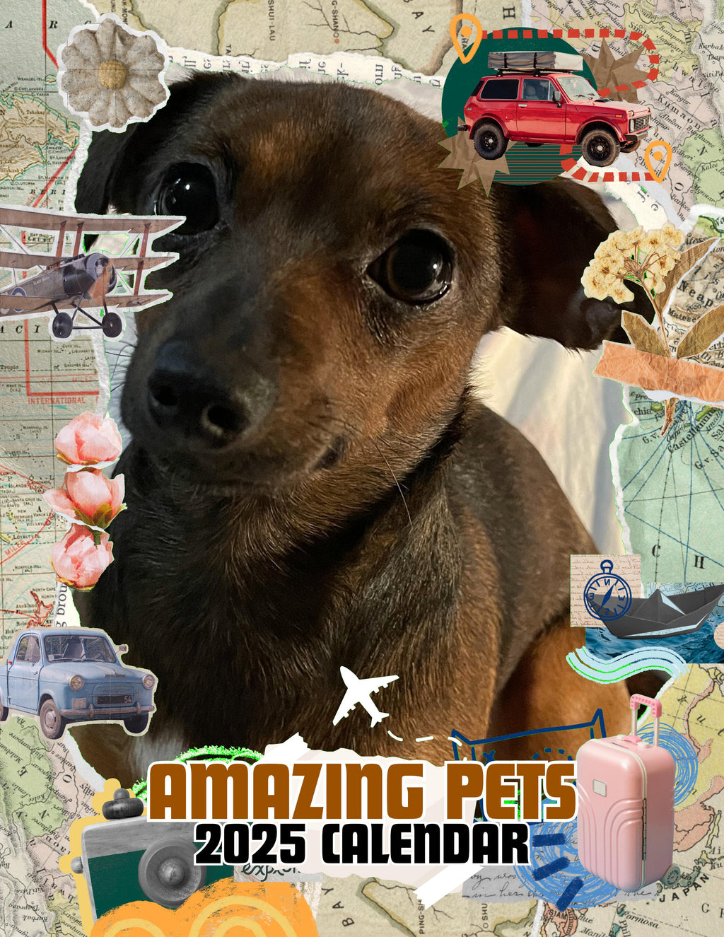 Amazing Pets: 2025 Wall Calendar (Pre-Order)