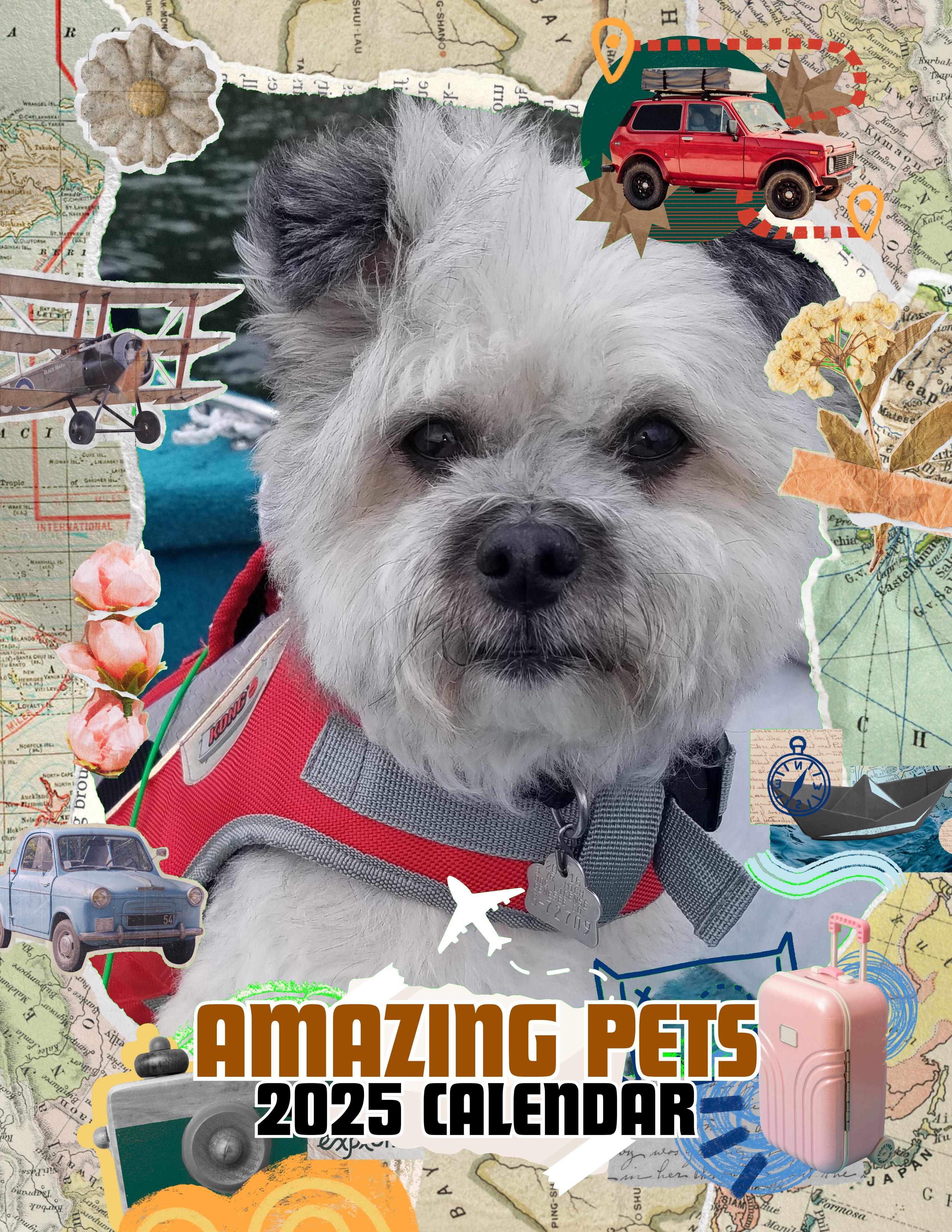 Amazing Pets: 2025 Wall Calendar (Pre-Order)