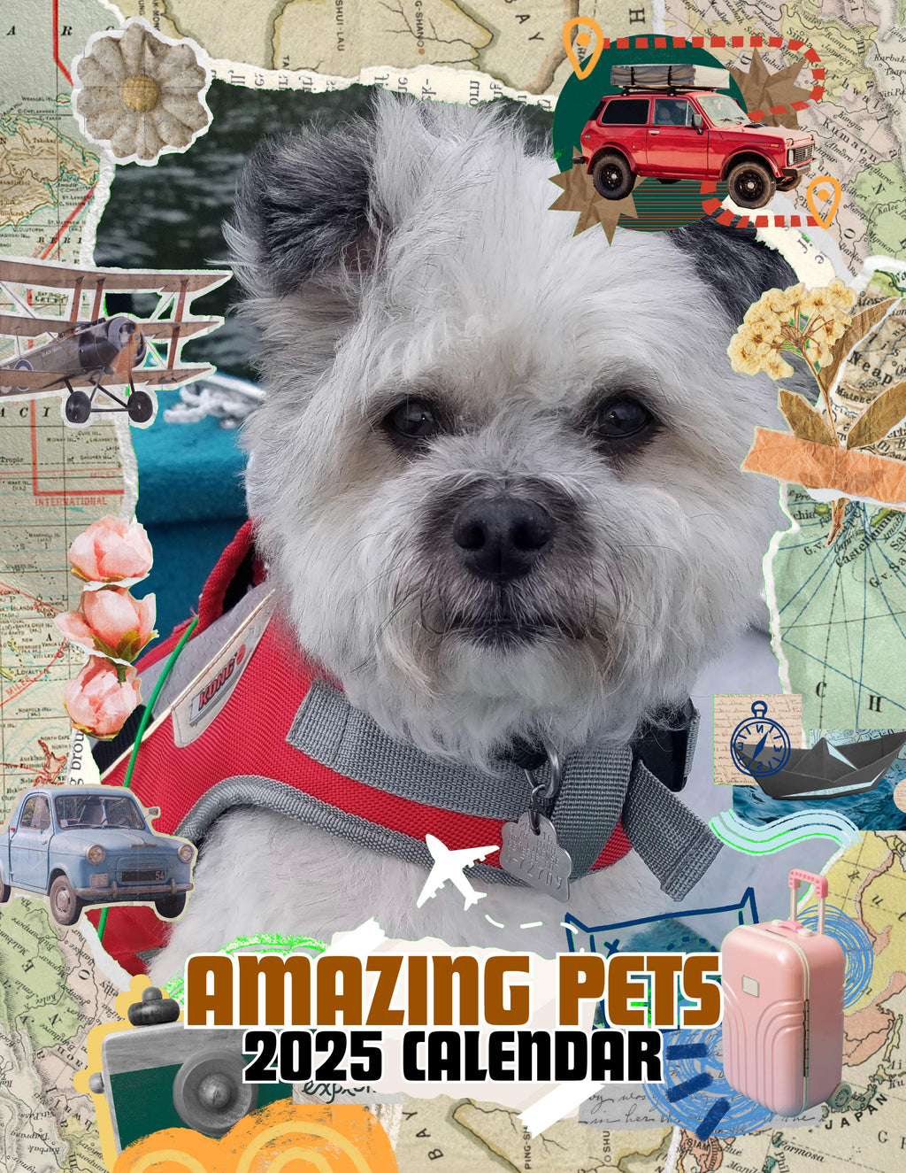 Amazing Pets: 2025 Wall Calendar (Pre-Order)