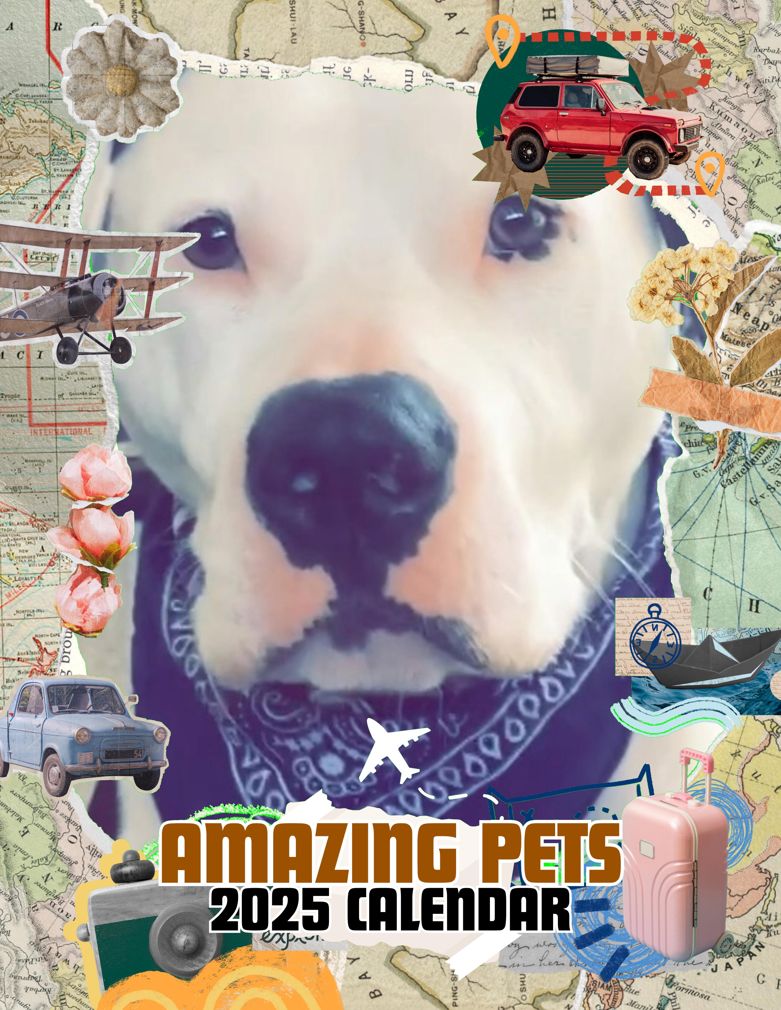 Amazing Pets: 2025 Wall Calendar (Pre-Order)