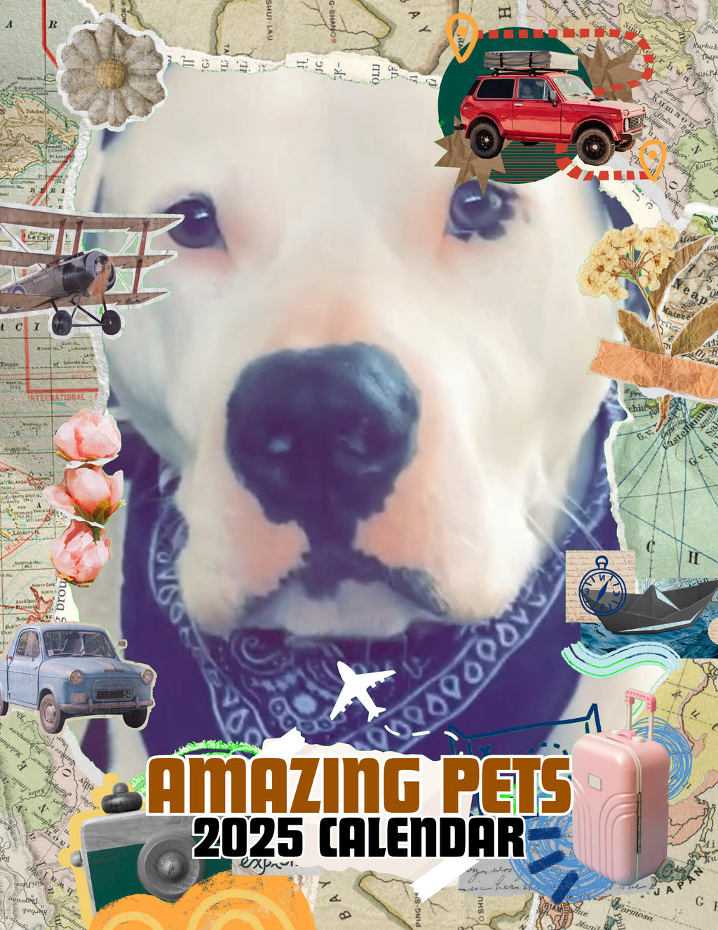 Amazing Pets: 2025 Wall Calendar (Pre-Order)