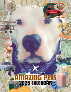 Amazing Pets: 2025 Wall Calendar (Pre-Order)