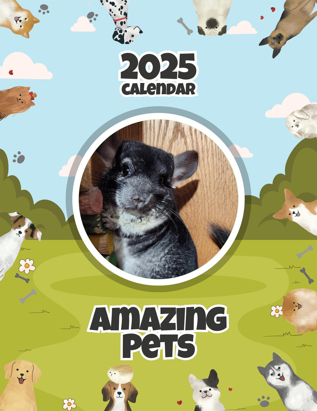 Amazing Pets: 2025 Wall Calendar (Pre-Order)
