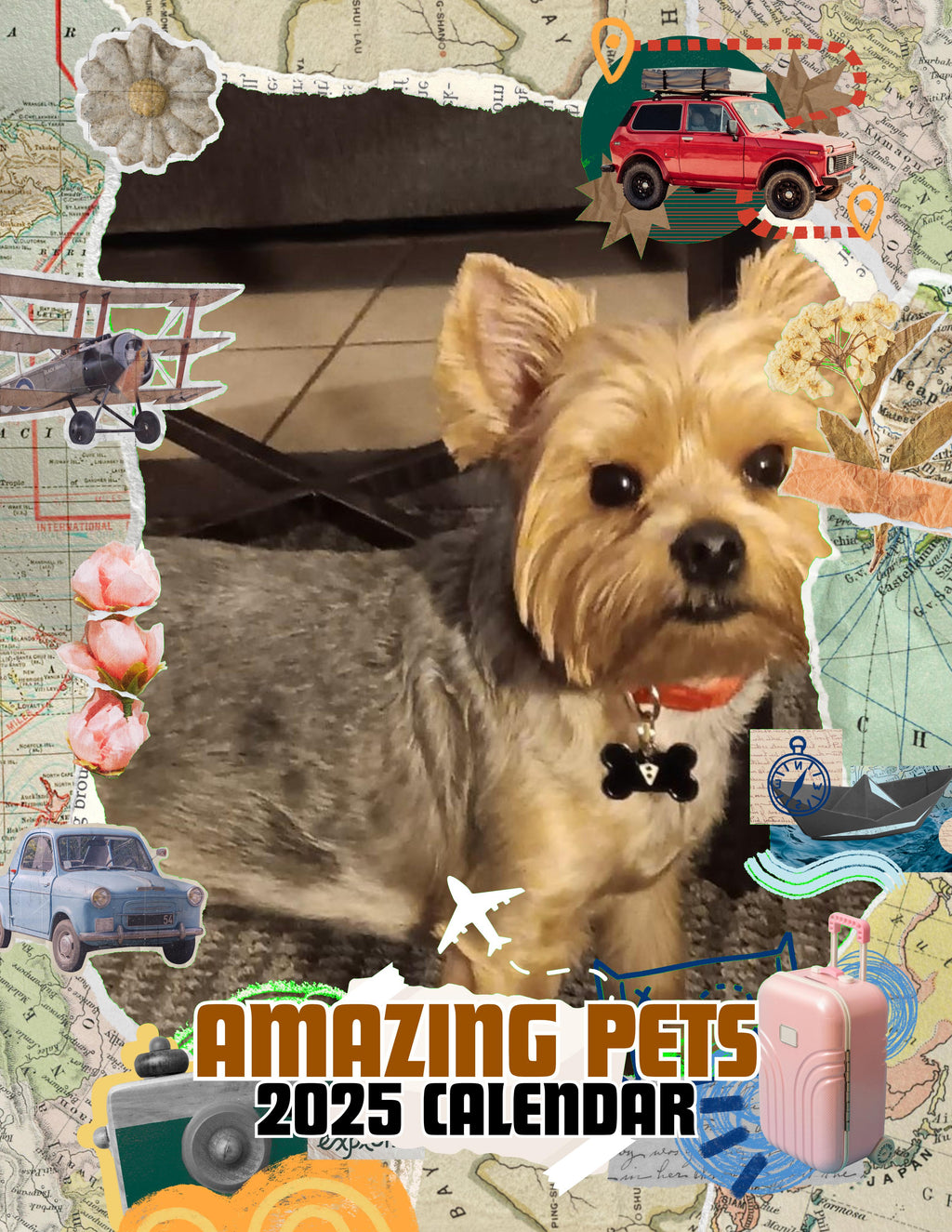 Amazing Pets: 2025 Wall Calendar (Pre-Order)