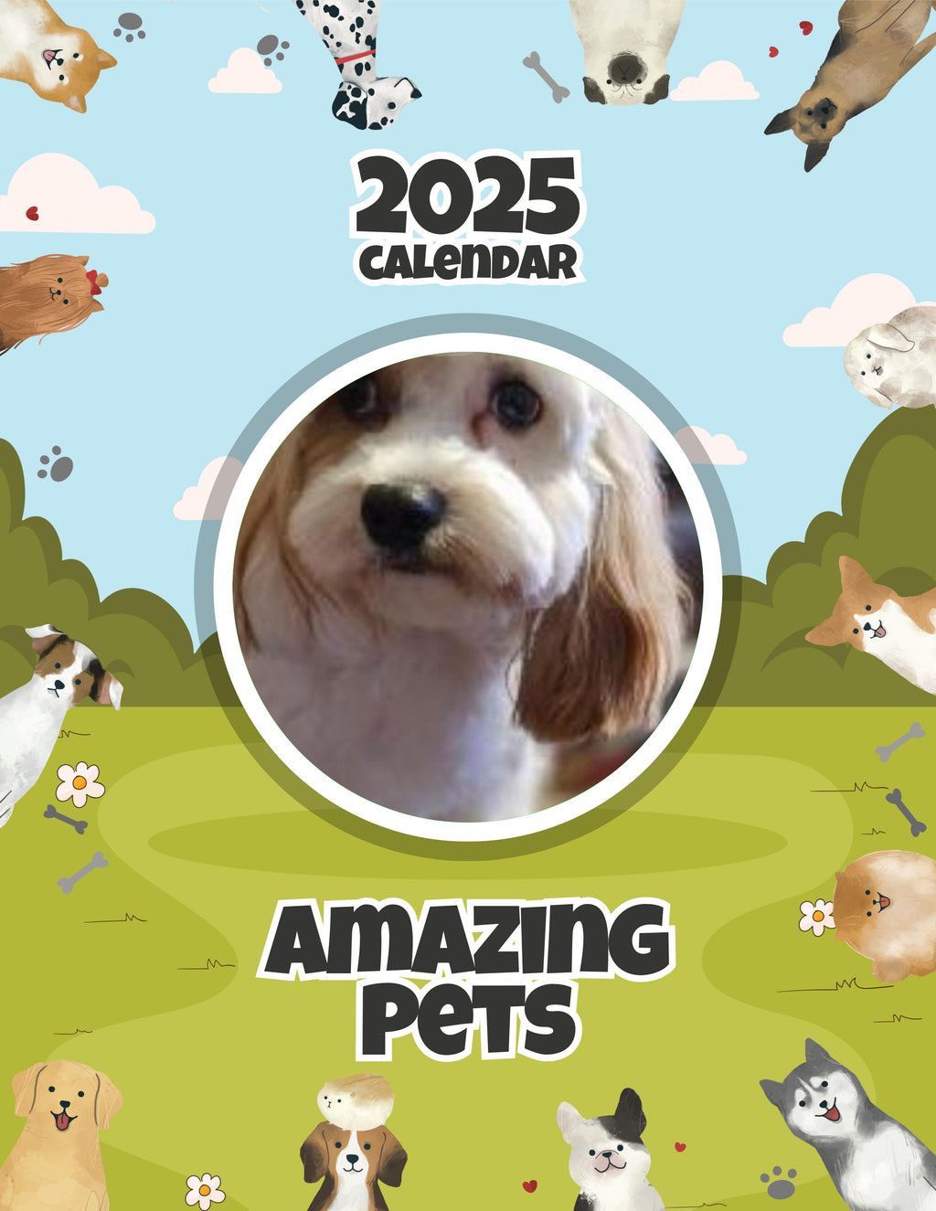 Amazing Pets: 2025 Wall Calendar (Pre-Order)
