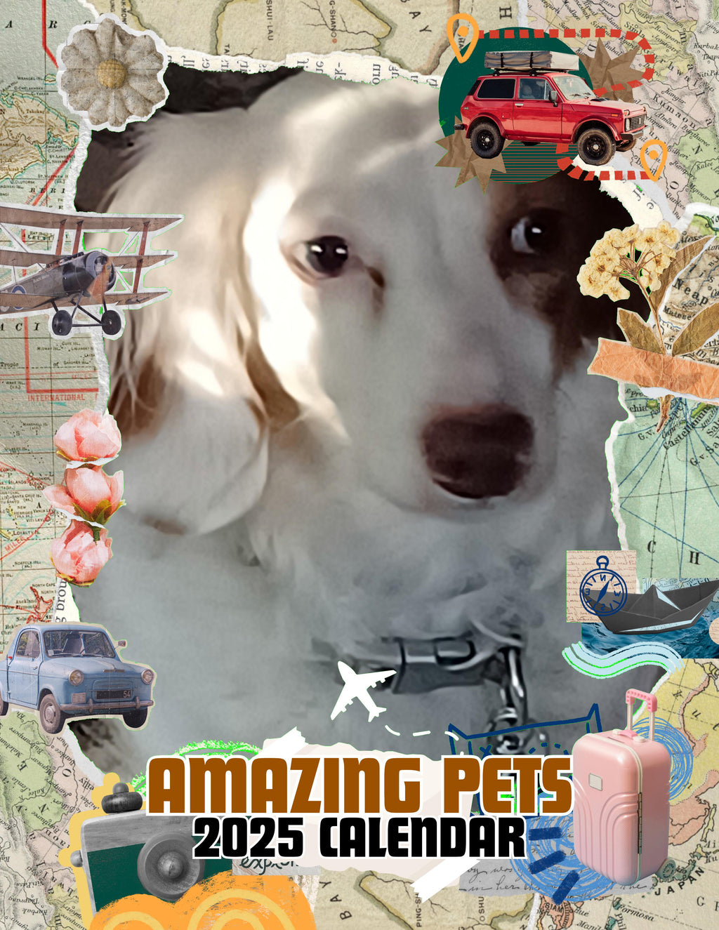 Amazing Pets: 2025 Wall Calendar (Pre-Order)