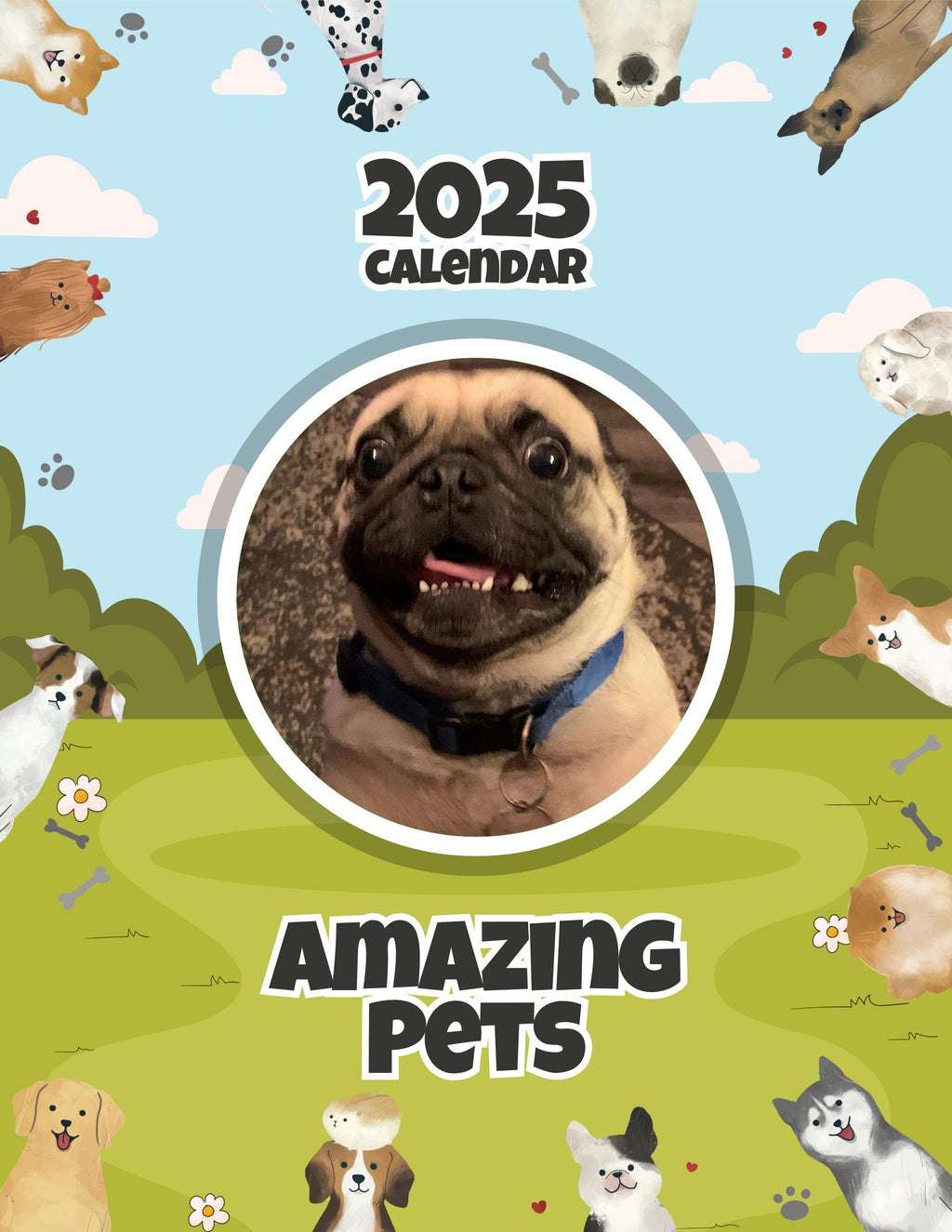 Amazing Pets: 2025 Wall Calendar (Pre-Order)