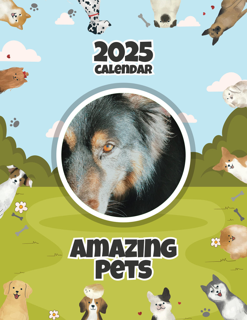 Amazing Pets: 2025 Wall Calendar (Pre-Order)