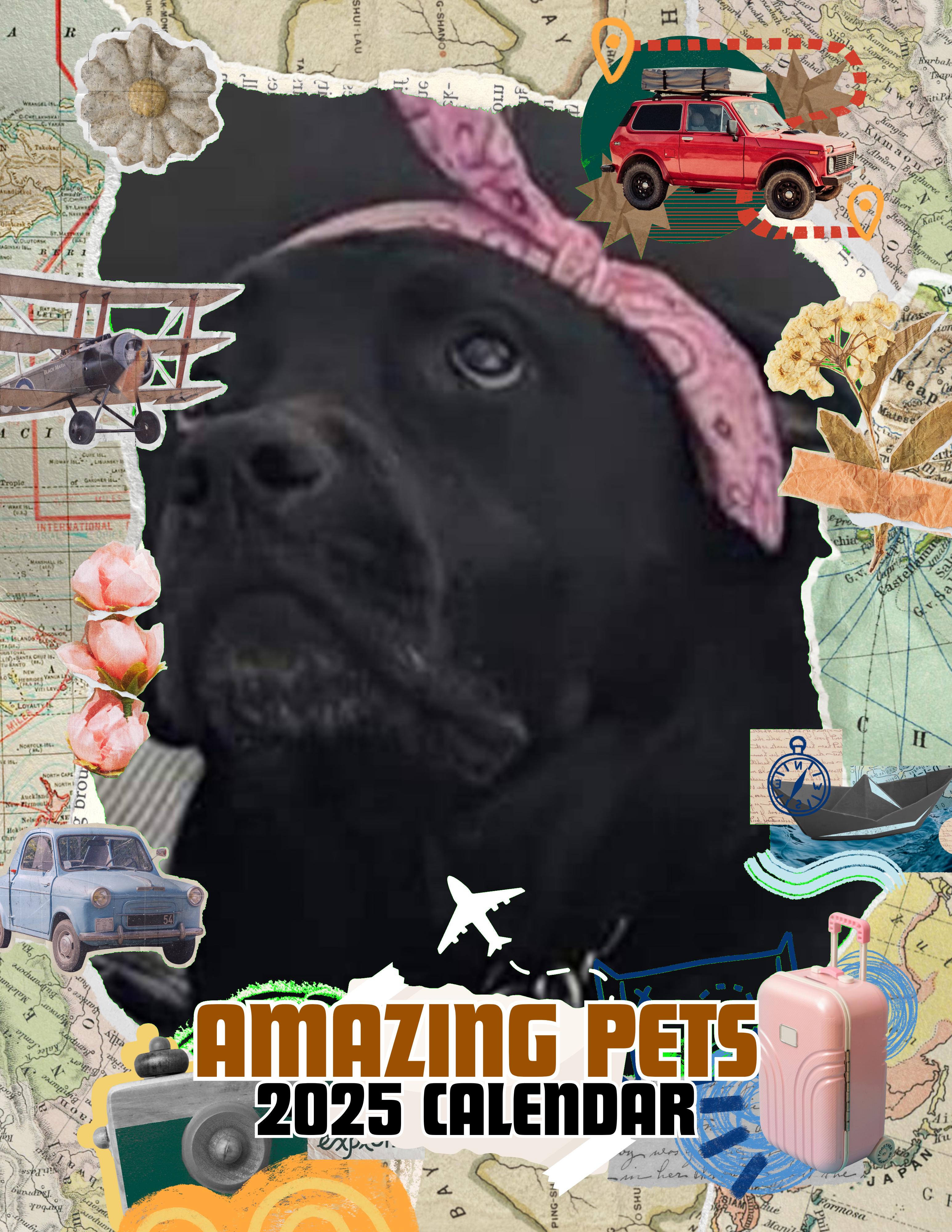 Amazing Pets: 2025 Wall Calendar (Pre-Order)