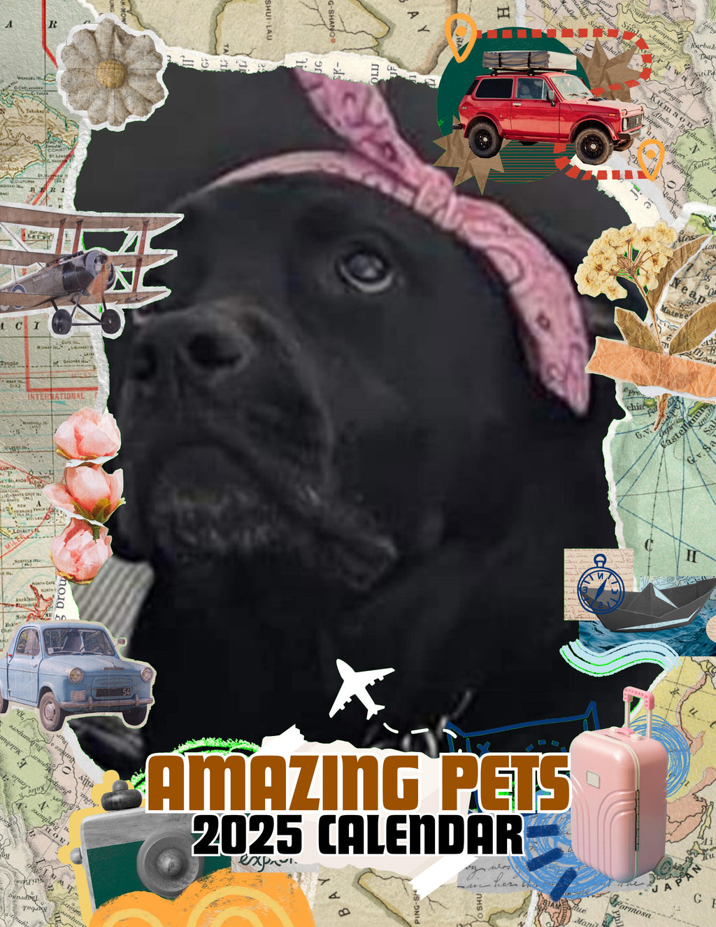 Amazing Pets: 2025 Wall Calendar (Pre-Order)