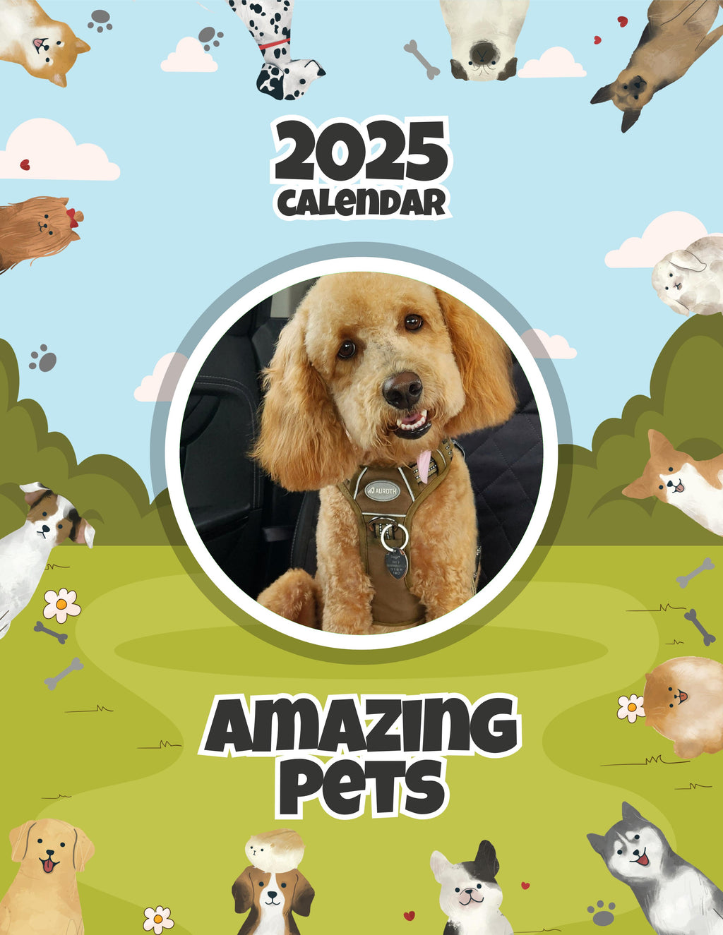 Amazing Pets: 2025 Wall Calendar (Pre-Order)