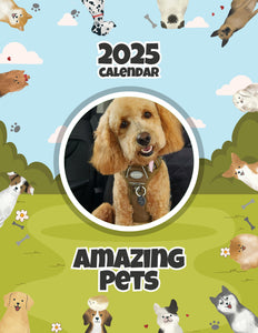 Amazing Pets: 2025 Wall Calendar (Pre-Order)