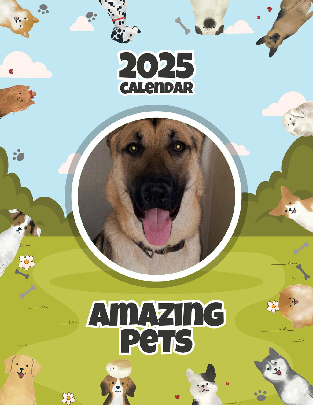Amazing Pets: 2025 Wall Calendar (Pre-Order)
