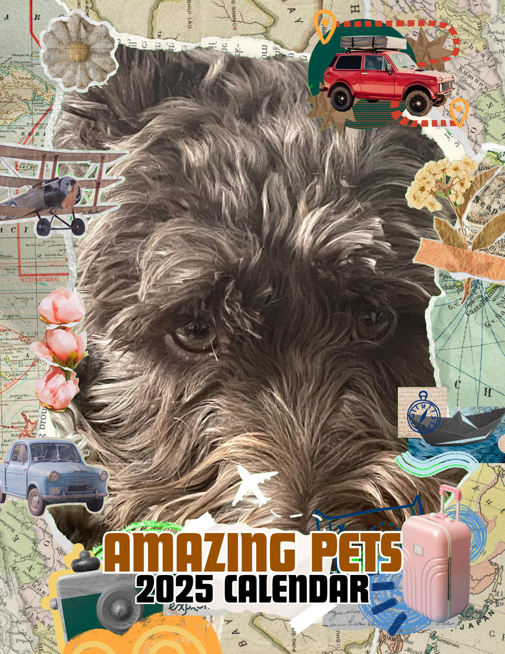 Amazing Pets: 2025 Wall Calendar (Pre-Order)