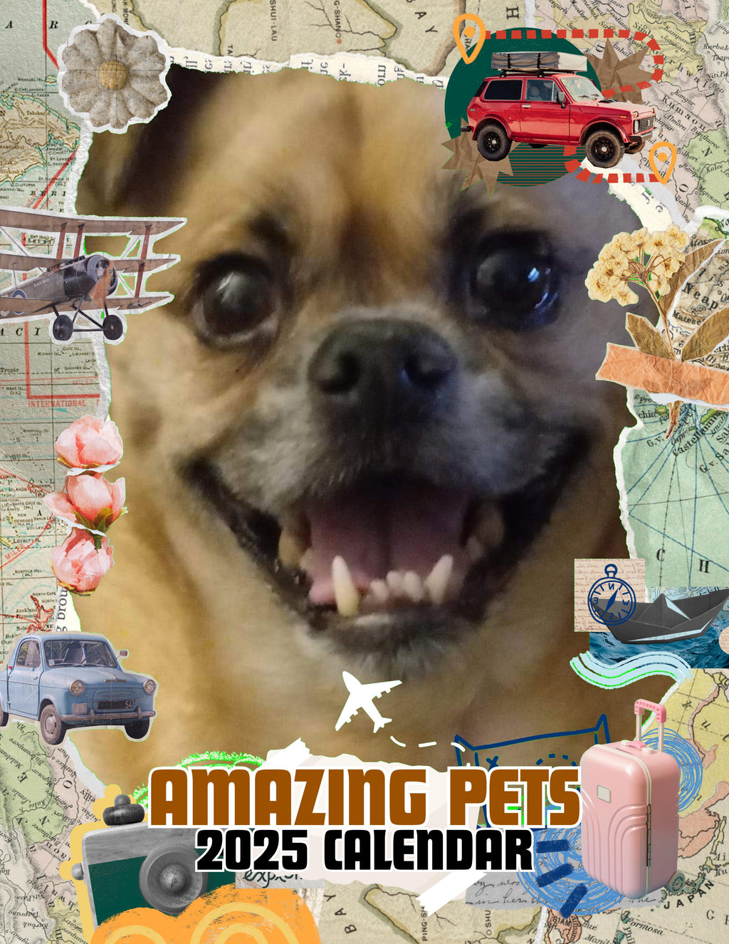 Amazing Pets: 2025 Wall Calendar (Pre-Order)