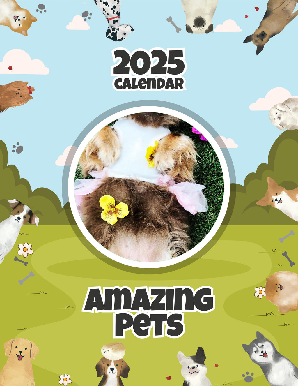 Amazing Pets: 2025 Wall Calendar (Pre-Order)