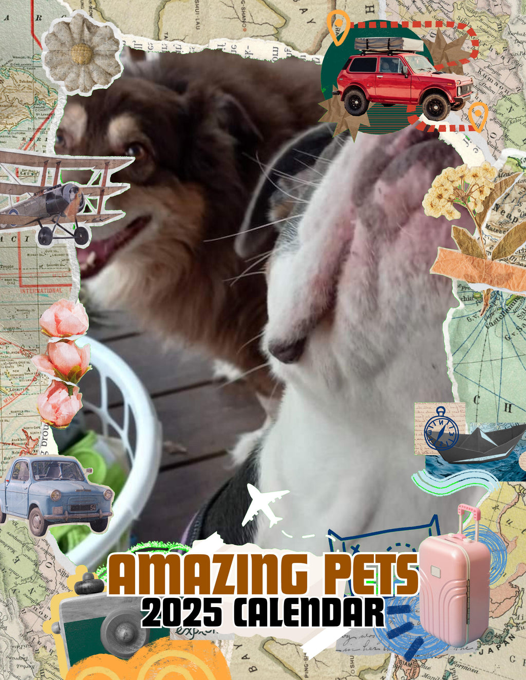 Amazing Pets: 2025 Wall Calendar (Pre-Order)
