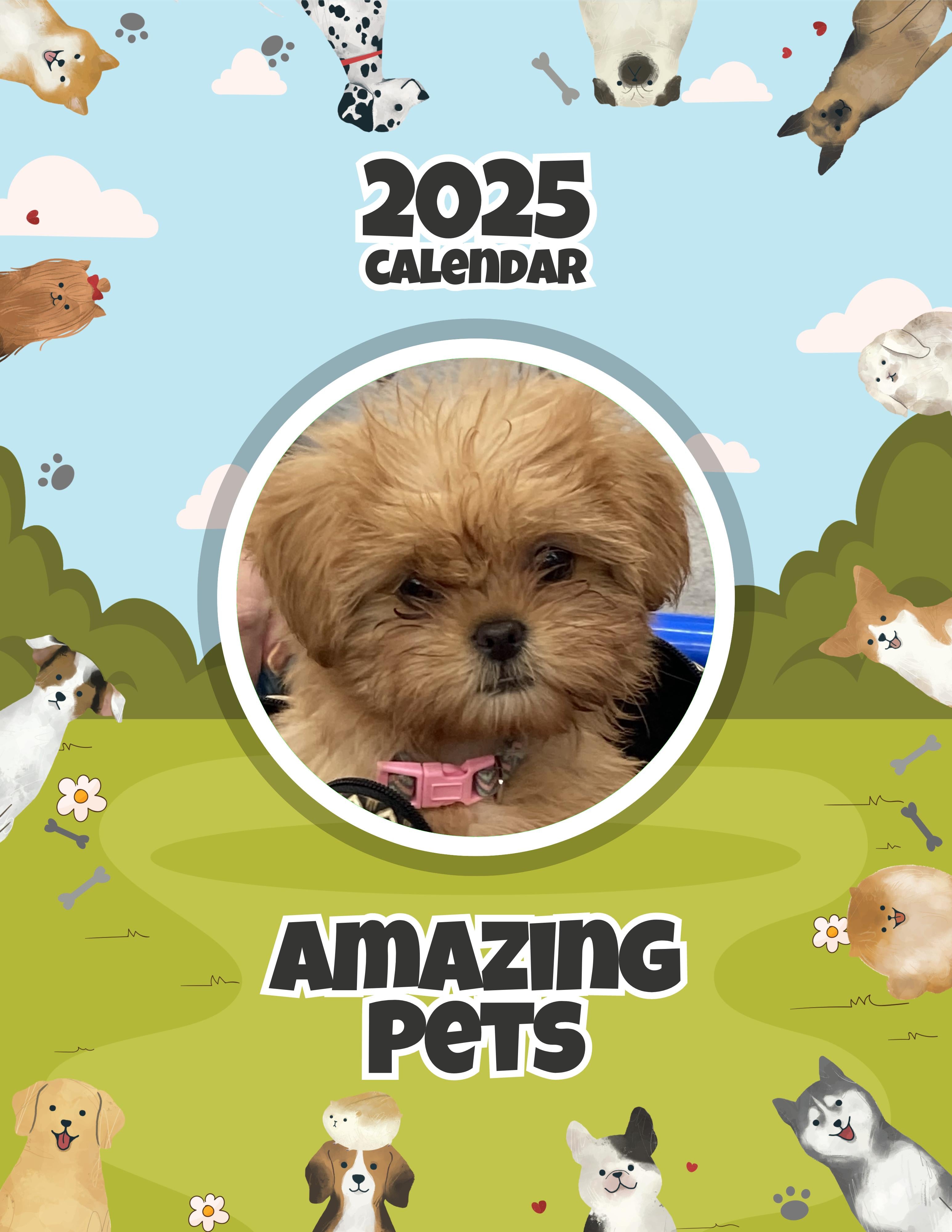 Amazing Pets: 2025 Wall Calendar (Pre-Order)