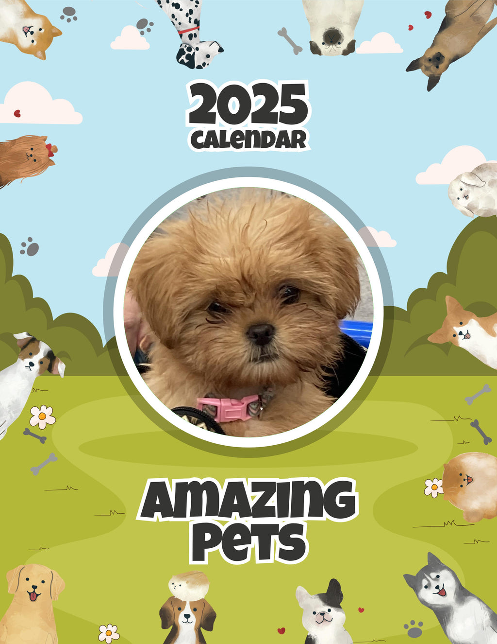 Amazing Pets: 2025 Wall Calendar (Pre-Order)