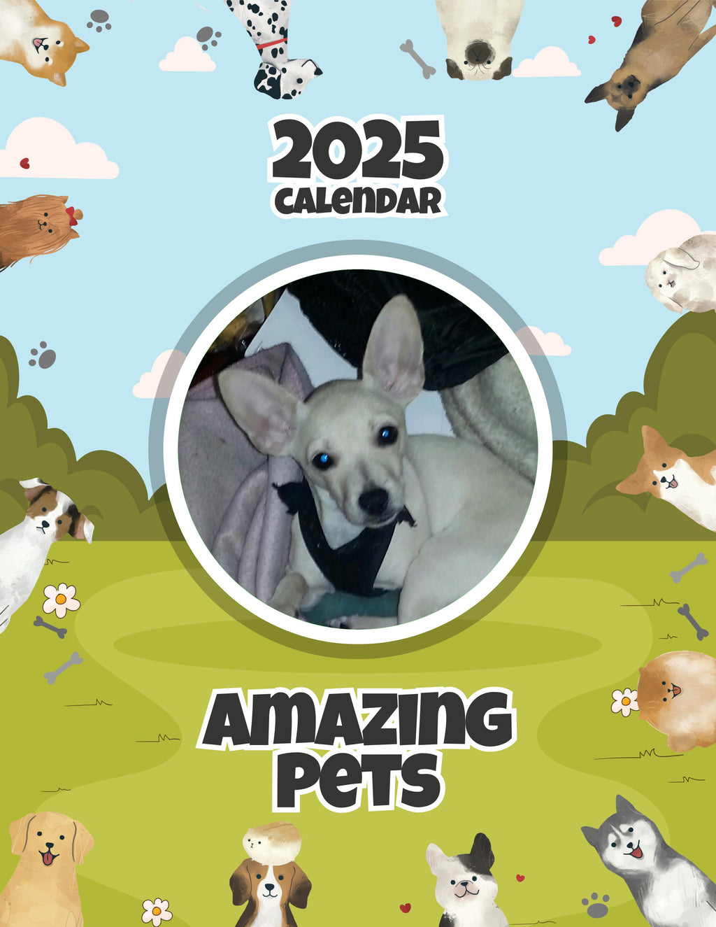 Amazing Pets: 2025 Wall Calendar (Pre-Order)