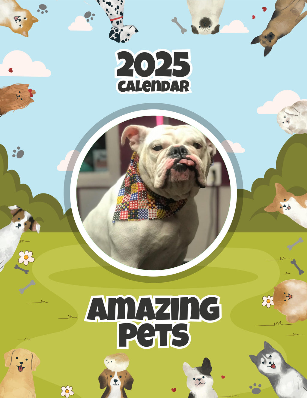 Amazing Pets: 2025 Wall Calendar (Pre-Order)