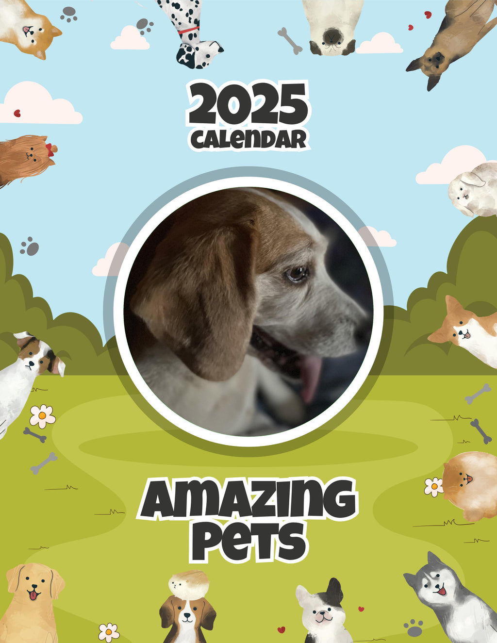 Amazing Pets: 2025 Wall Calendar (Pre-Order)