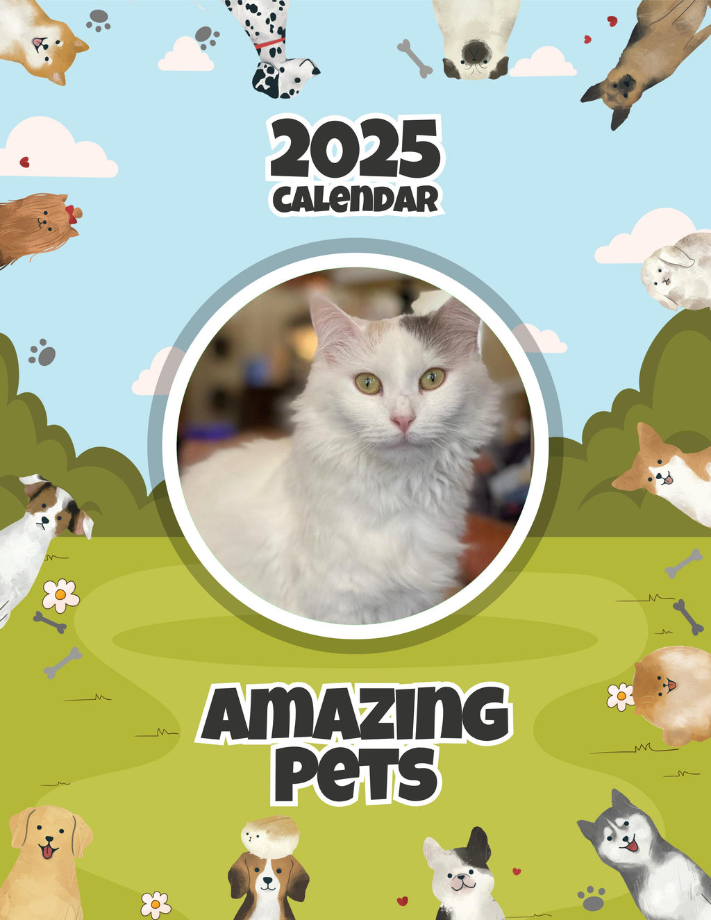 Amazing Pets: 2025 Wall Calendar (Pre-Order)