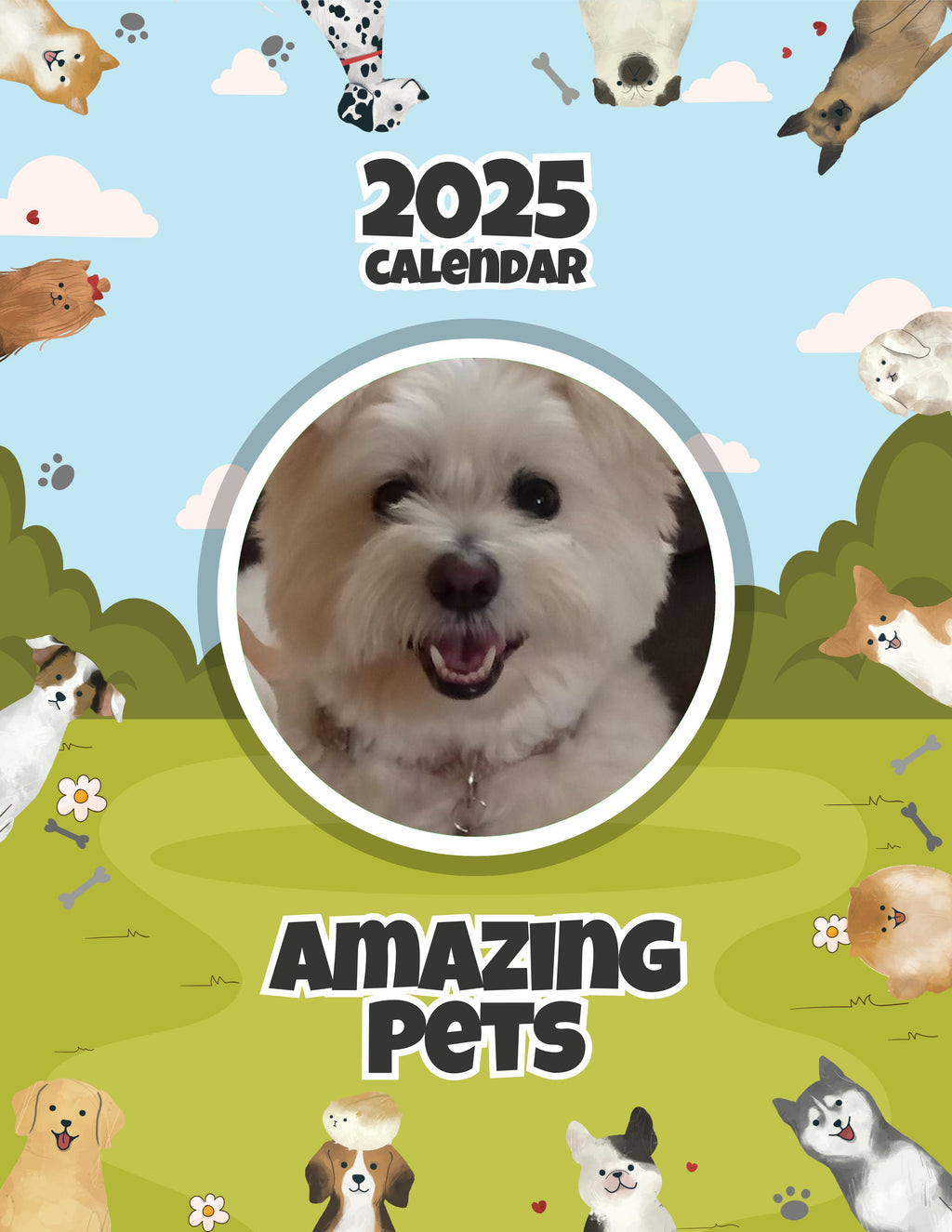 Amazing Pets: 2025 Wall Calendar (Pre-Order)