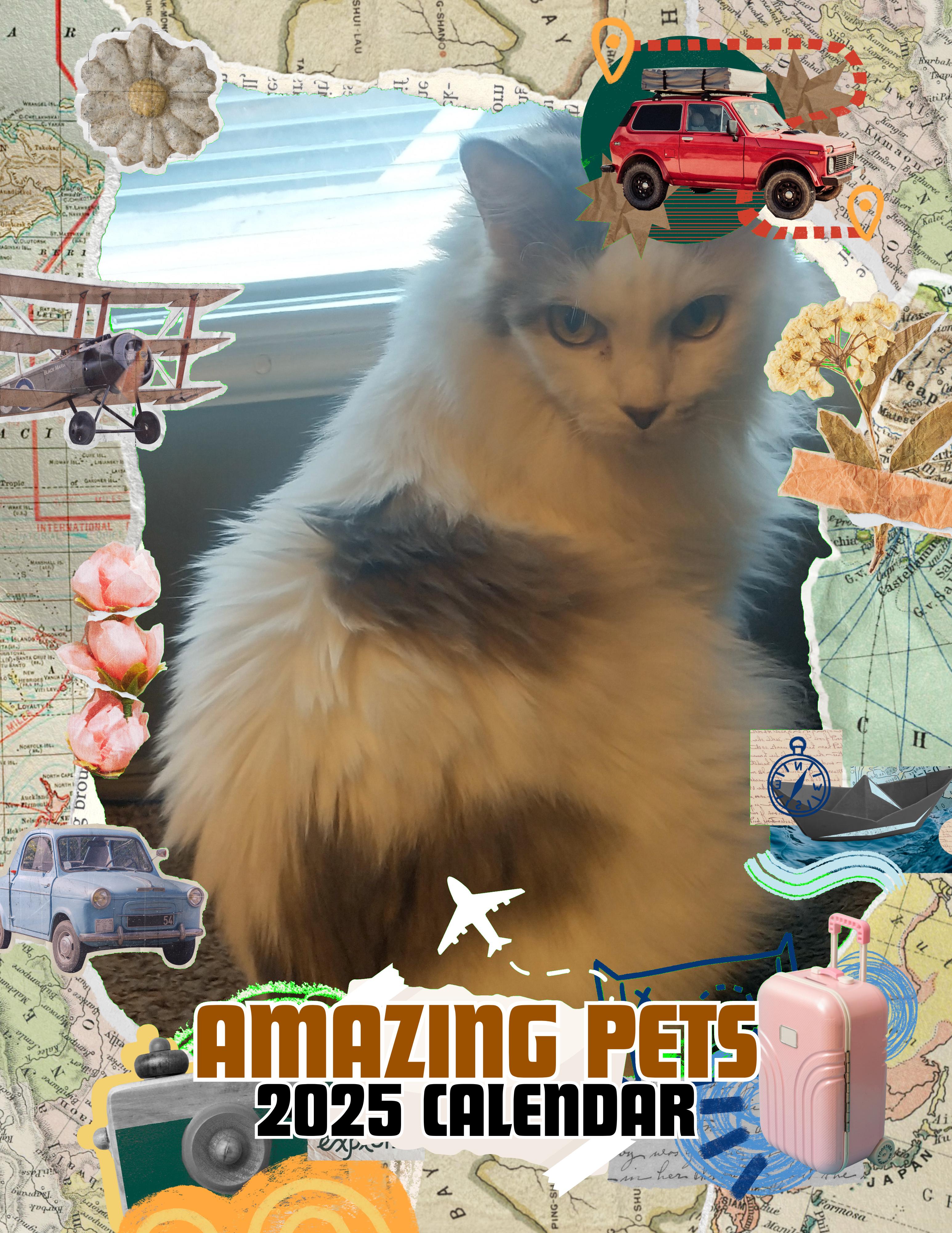 Amazing Pets: 2025 Wall Calendar (Pre-Order)