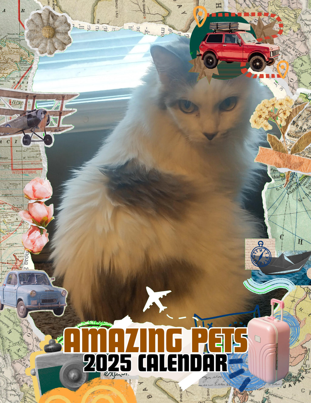Amazing Pets: 2025 Wall Calendar (Pre-Order)