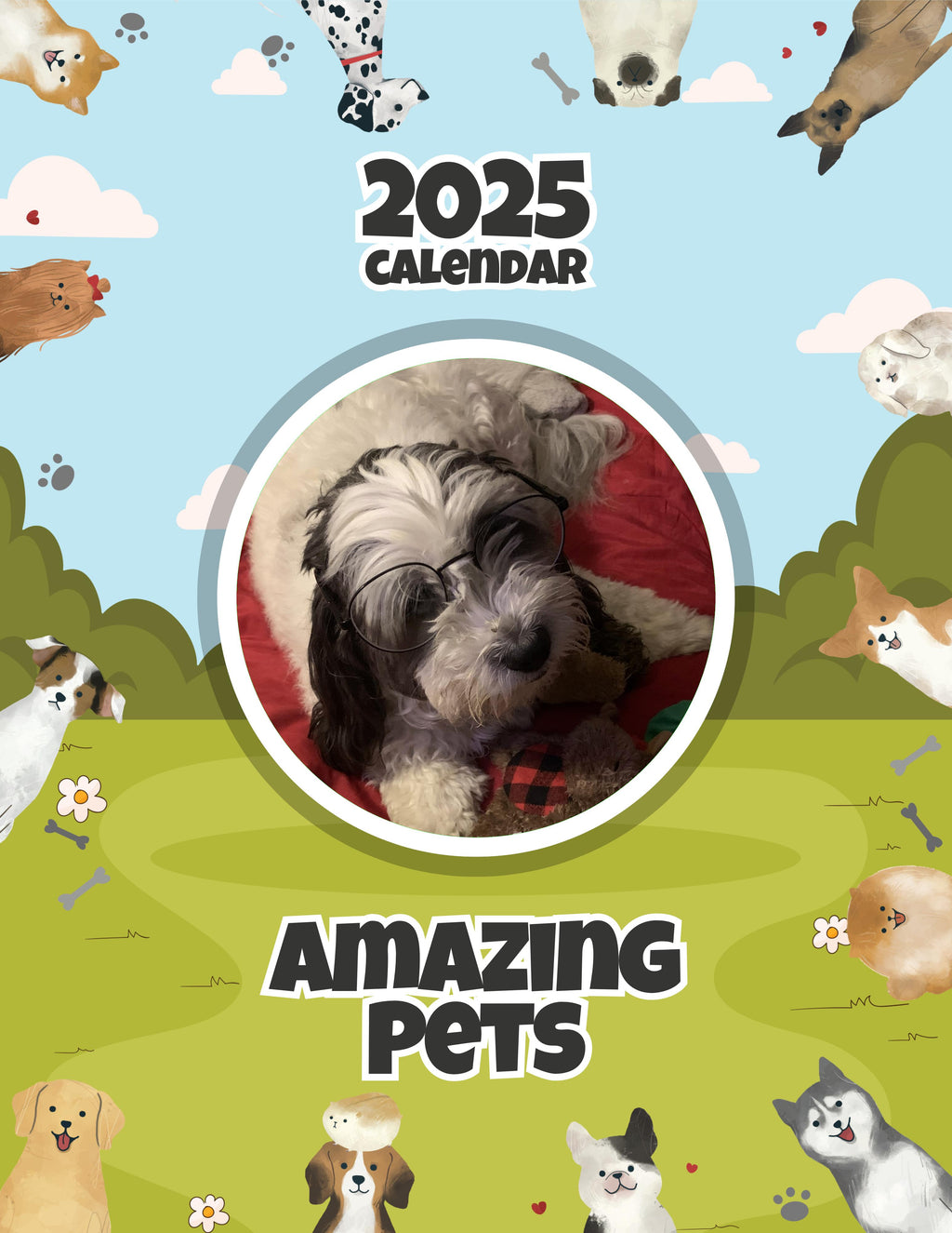 Amazing Pets: 2025 Wall Calendar (Pre-Order)