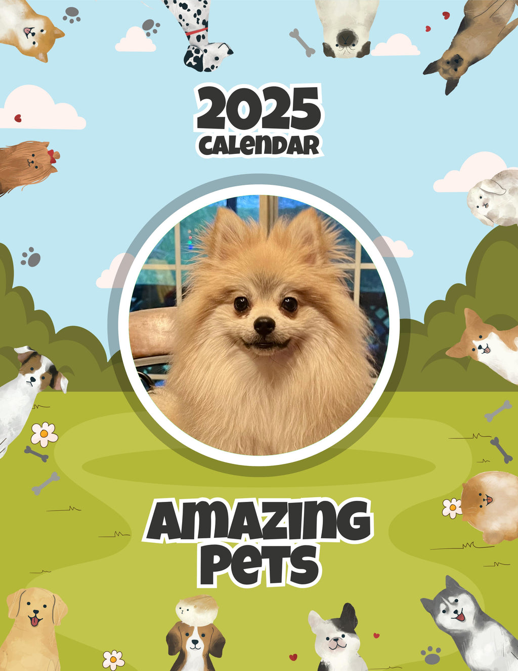 Amazing Pets: 2025 Wall Calendar (Pre-Order)