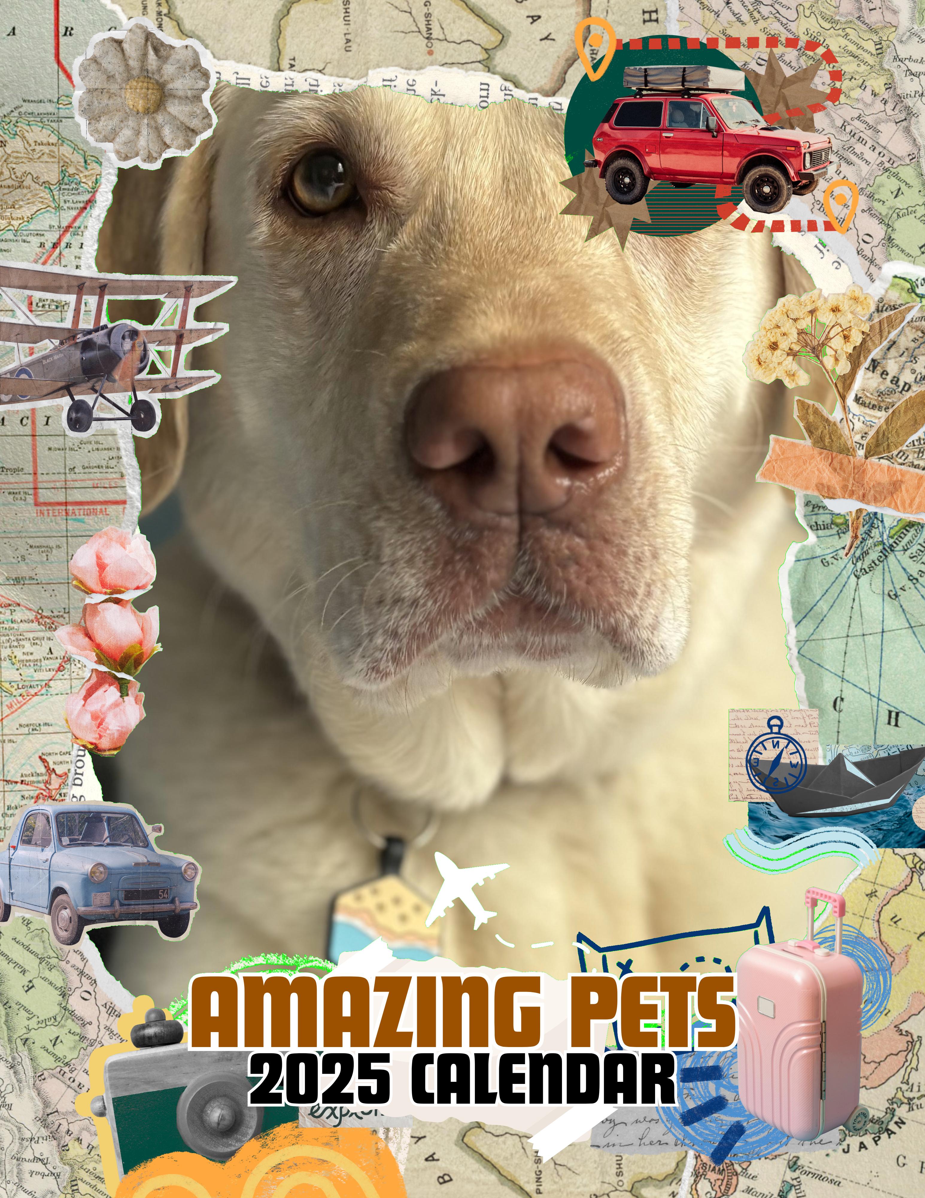 Amazing Pets: 2025 Wall Calendar (Pre-Order)