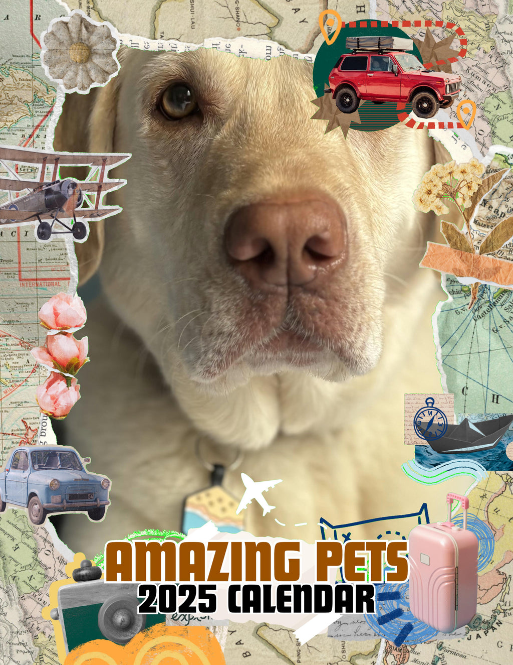 Amazing Pets: 2025 Wall Calendar (Pre-Order)