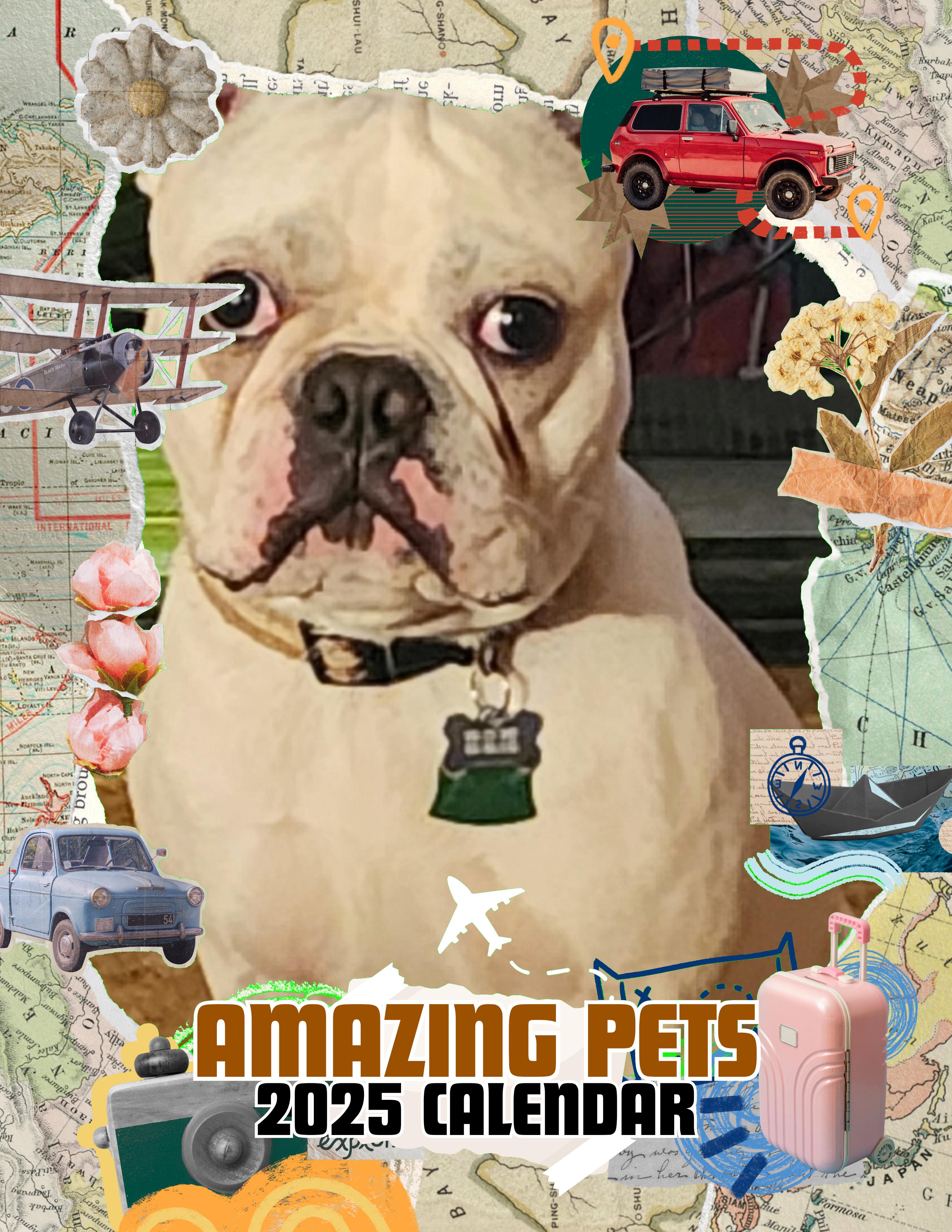 Amazing Pets: 2025 Wall Calendar (Pre-Order)
