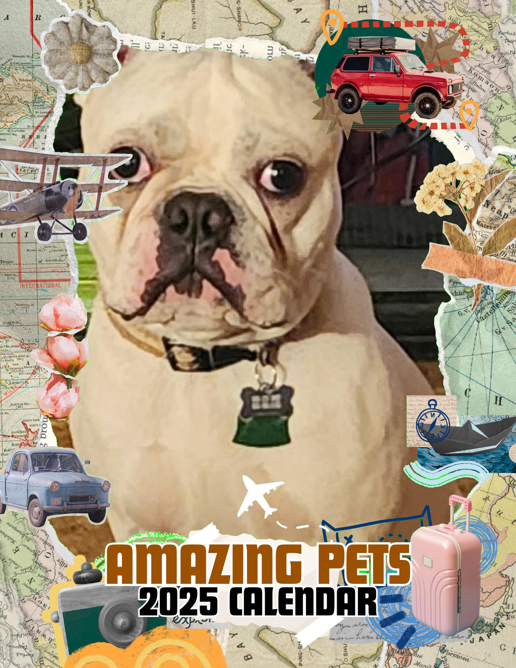 Amazing Pets: 2025 Wall Calendar (Pre-Order)