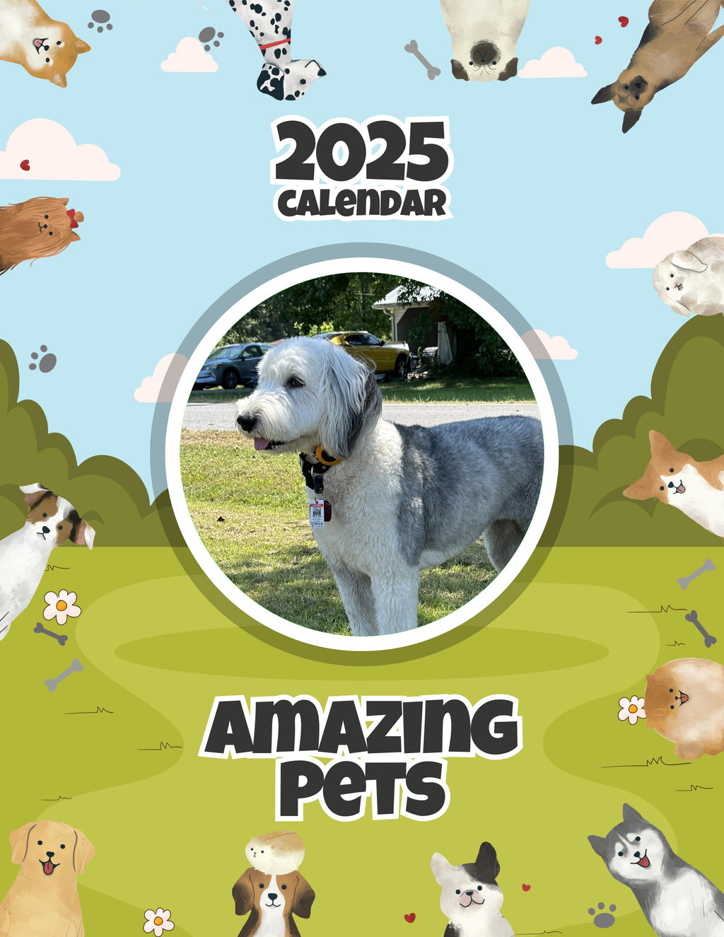 Amazing Pets: 2025 Wall Calendar (Pre-Order)