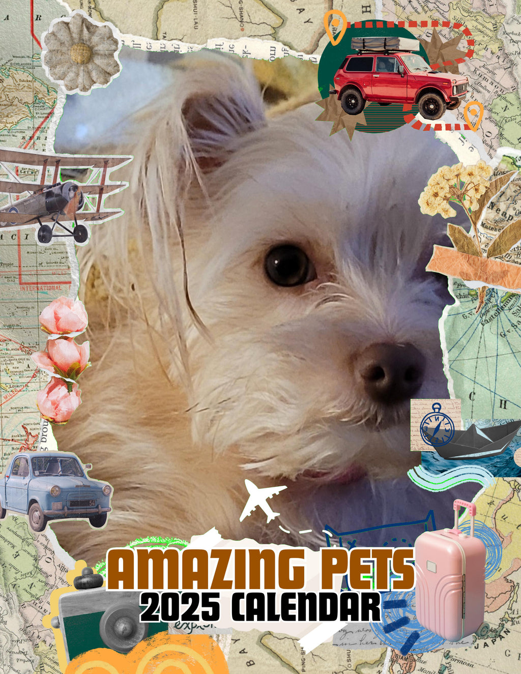 Amazing Pets: 2025 Wall Calendar (Pre-Order)