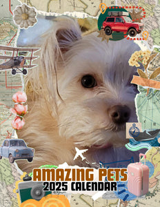 Amazing Pets: 2025 Wall Calendar (Pre-Order)