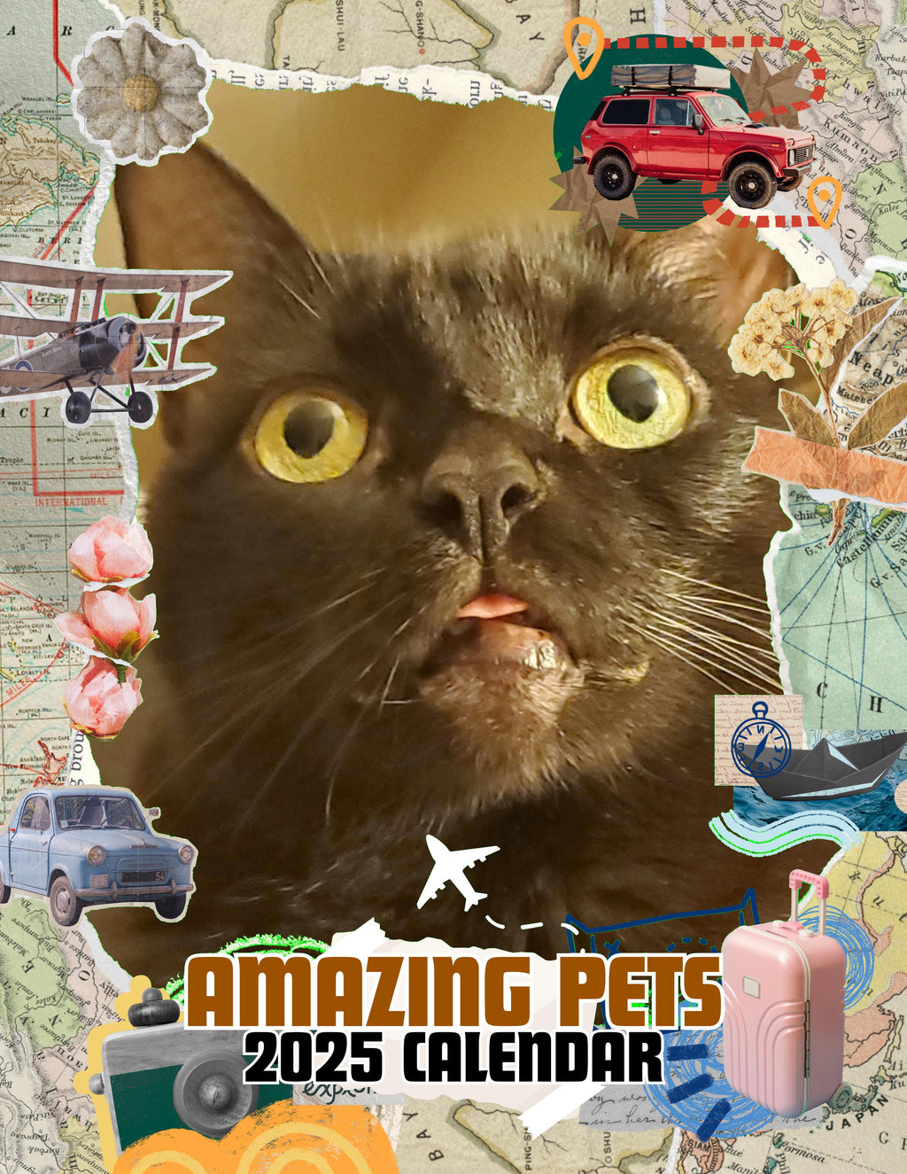 Amazing Pets: 2025 Wall Calendar (Pre-Order)